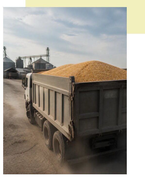 Перевозка сельхозпродукции навалом в Саянск по цене от 3052 р. | Агросервис-Сск